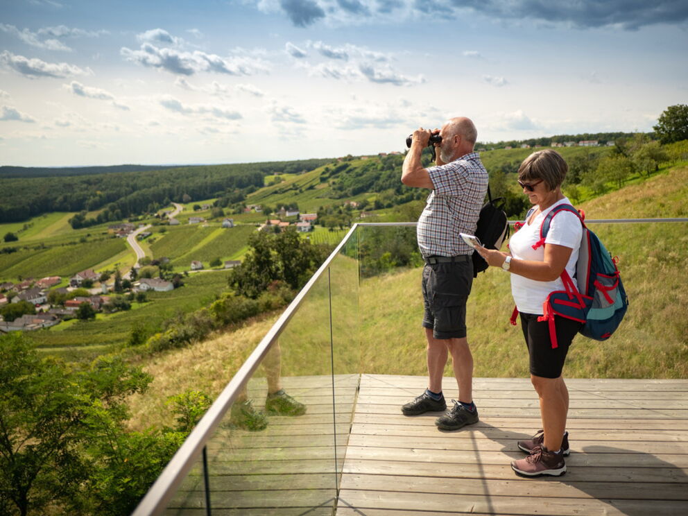 Aussicht von der Aussichtsplattform über die Weinberge im Burgenland; © Burgenland Tourismus GmbH_Andreas Hafenscher