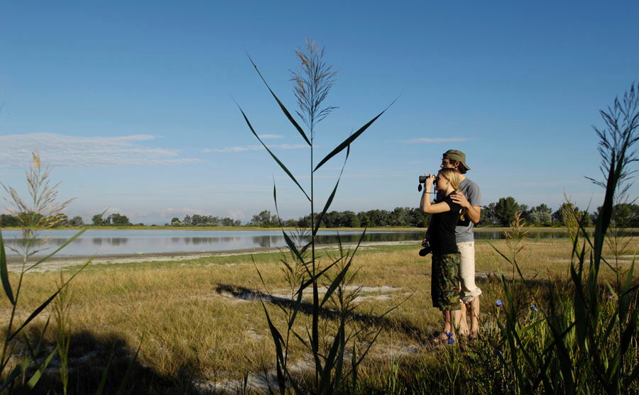 Ein Paar auf eigenständiger Safari mit Fernglas im Naturschutzgebiet Neusiedlersee im Burgenland