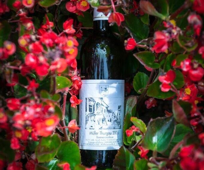 Fruity wine among red blooming flowers at Hotel Das-Schmidt