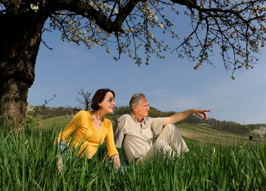 Ein altes Ehepaar genießt die Natur zwischen den Weinhügeln im Burgenland