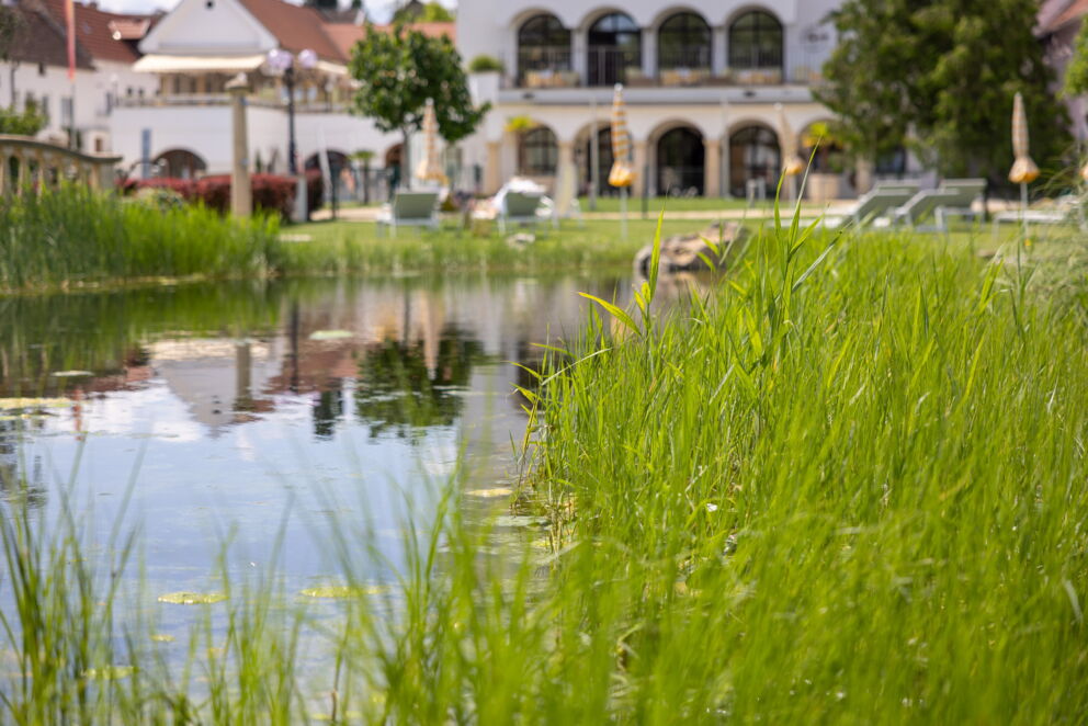 Der Hotelgarten mit seinem Bio-Top und das gesammelte Regenwasser für die Bewässerung sind nur einige der vielen Nachhaltigkeitsmaßnahmen im Hotel Das-Schmidt im Burgenland © Manfred Sodia Photography