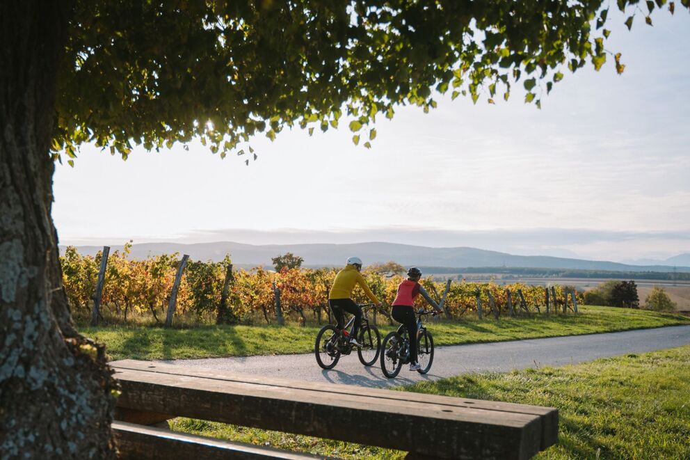 Eine Sitzbank, zwei Radfahrer im herbstlichen Burgenland; © Burgenland Tourismus GmbH_Christina Neubauer
