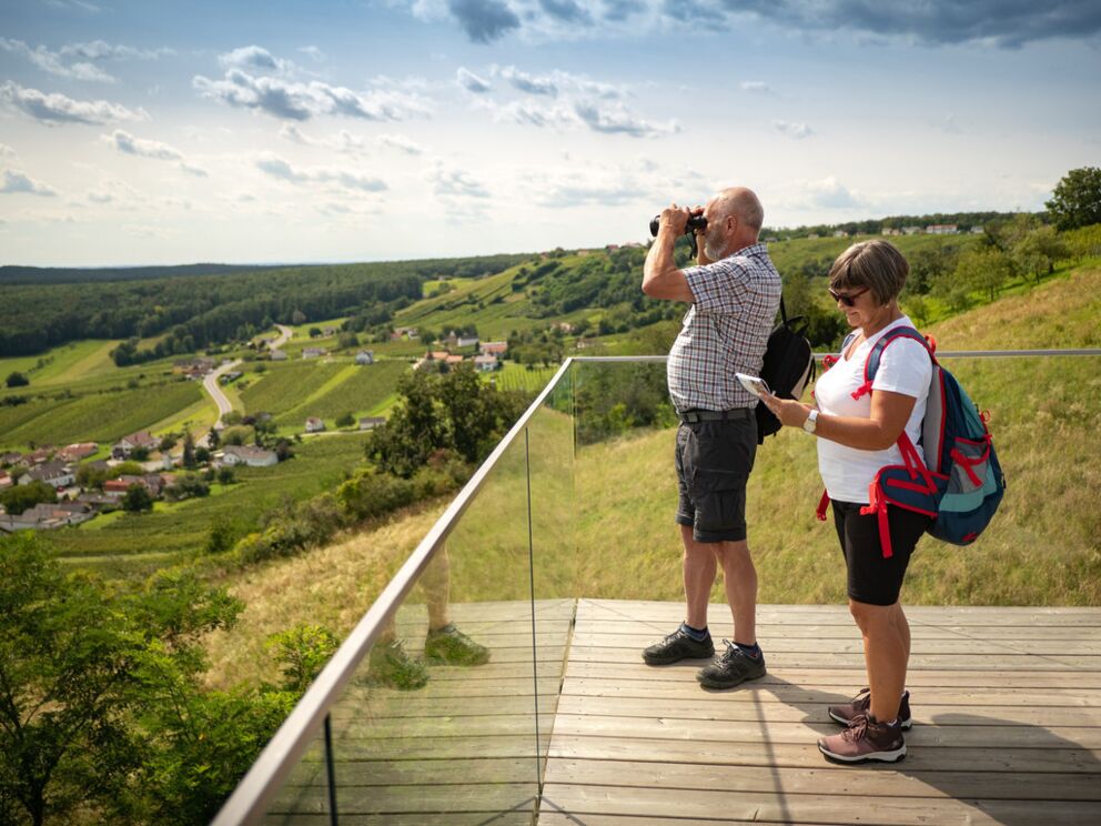 Aussicht von der Aussichtsplattform über die Weinberge im Burgenland; © Burgenland Tourismus GmbH_Andreas Hafenscher