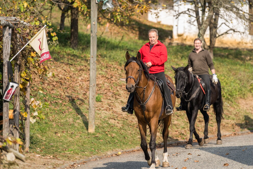 Reiten im schönen Burgenland; © Burgenland Tourismus GmbH_Birgit Machtinger