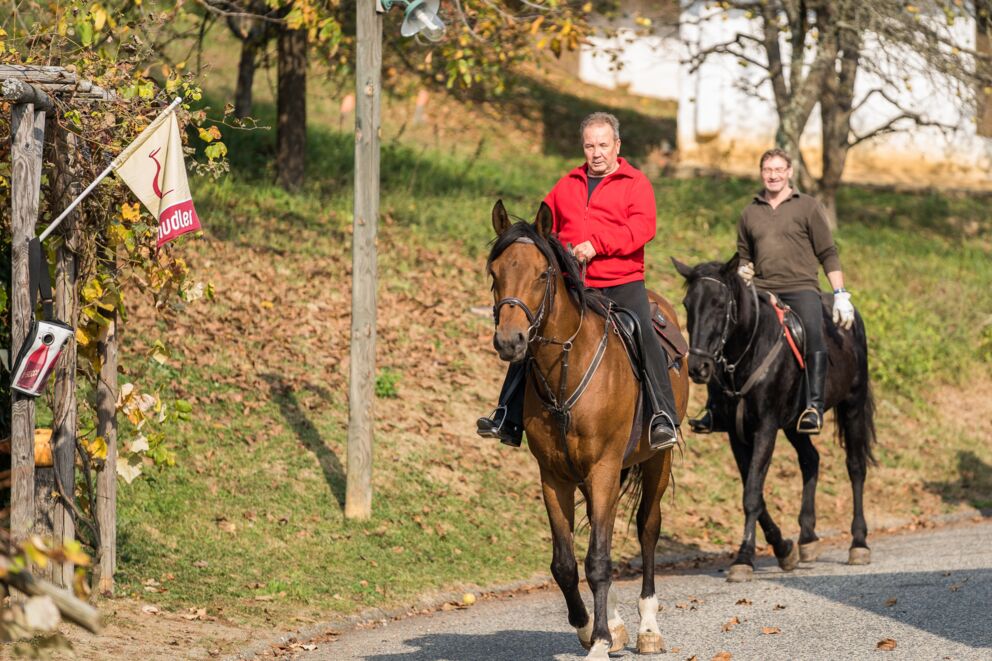 Reiten im schönen Burgenland; © Burgenland Tourismus GmbH_Birgit Machtinger