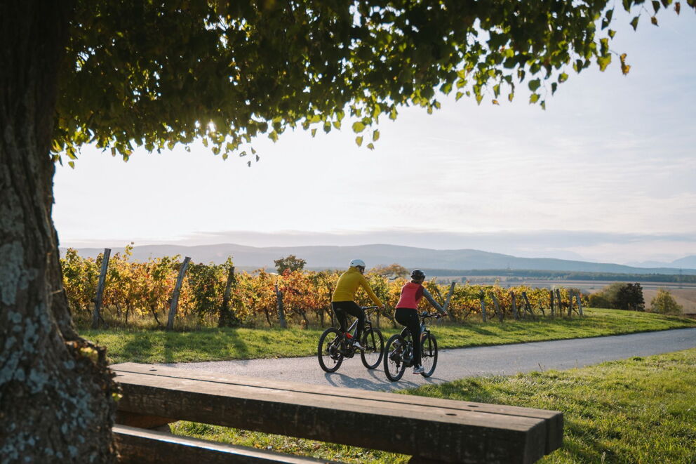 Eine Sitzbank, zwei Radfahrer im herbstlichen Burgenland; © Burgenland Tourismus GmbH_Christina Neubauer
