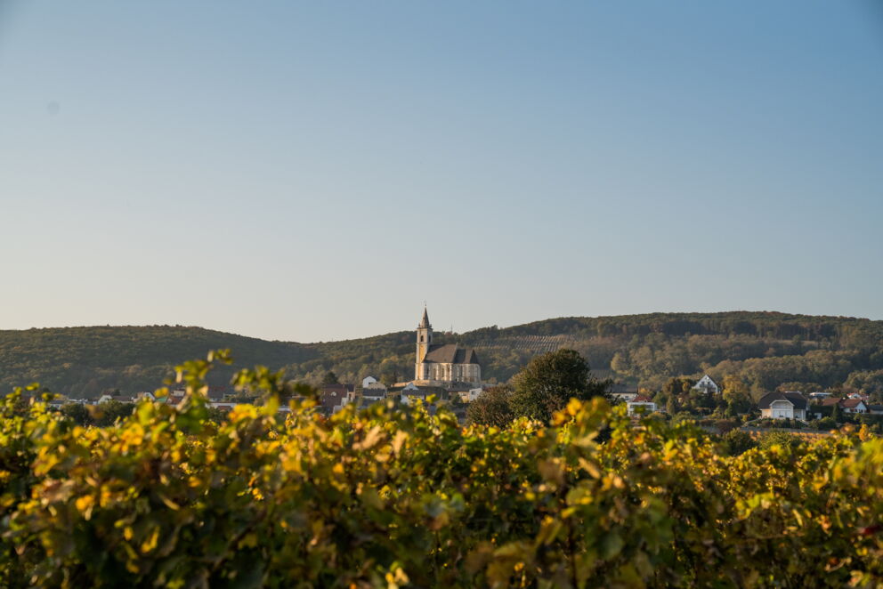Blick auf die Natur der Eisenstadt © burgenland-tourismus-gmbh_birgit-machtinger
